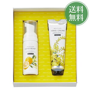 ~A~U nhN[ & nh\[v MC-CHS30 j oYj j j Ԃ o^C zCgf[ ̓ ̓ hV̓ v[g A v`Mtg LOi e