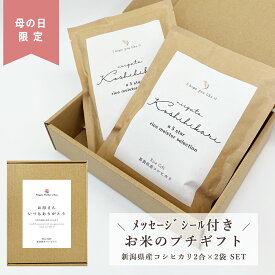 【母の日限定】【包装無料！】母の日 お米 の プチギフト セット メッセージシール 付き 新潟県産こしひかり（2合×2袋） プレゼント ギフト お米ギフト 送料無料 オリジナルラベル メッセージ入り おしゃれ 英字 プレゼント お米 お祝い ギフト お礼 米ギフト