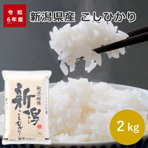 yߘa6NYzy݌Ɍz ߘa6N VYRVqJ 2kg (2kg×1) 02c    V Ђ 2kg Yn   ăMtg  hV̓ ̓ ̓ 䒆 Ε