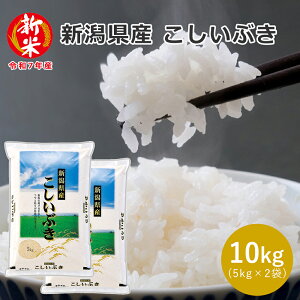 新米 新潟県産 こしいぶき 10kg (5kg×2袋) 03A 自家需要米 米 10kg 産地直送米 白米 精米 お米ギフト 贈答 敬老の日 御中元 御歳暮 お歳暮 お年賀 お米 自宅用 お礼 御中元 お中元 送料無料