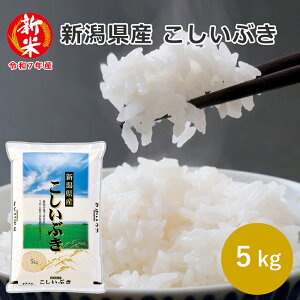新米 新潟県産 こしいぶき 5kg (5kg×1袋) 03B 自家需要米 お米 5kg 送料無料 米 5キロ 産地直送米 白米 精米 お米ギフト 贈答 敬老の日 母の日 父の日 御中元 御歳暮 お歳暮 自宅用 お年賀 お礼