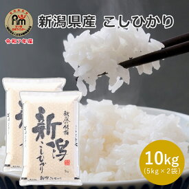 新潟県産 コシヒカリ 10kg (5kg×2袋) 02A 自家需要米 米 こしひかり 10kg 産地直送米 白米 精米 お米ギフト 贈答 敬老の日 お中元 お歳暮 送料無料 御礼 内祝い お米 香典返し 御中元 お中元 送料無料