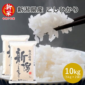 V VY RVqJ 10kg (5kg×2) 02A Ǝv  Ђ 10kg Yn   ăMtg  hV̓  Ε   j  TԂ 䒆  