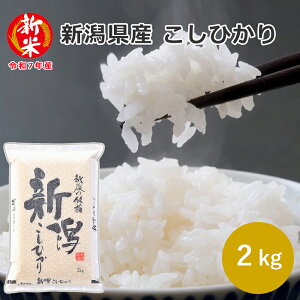 V VYRVqJ 2kg (2kg×1) 02c Ǝv   V Ђ 2kg Yn   ăMtg  hV̓ ̓ ̓ 䒆 Ε  TԂ  