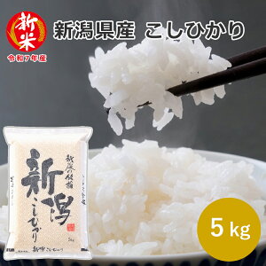 V VYRVqJ 5kg (5kg×1) 02B Ǝv   Ђ 5kg Yn   ăMtg  hV̓ ̓ ̓ 䒆 Ε   TԂ  