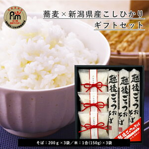 V zゲ Ђ MtgZbg( 200g×3܁j (1×3܁j Mtg VYRVqJ ]ˑłR j oYjwj ސEj j j Ε N 