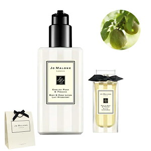 W[}[ MtgZbg {fB&nh[V oXIC  CObV yA[&t[WA ΂Mtg