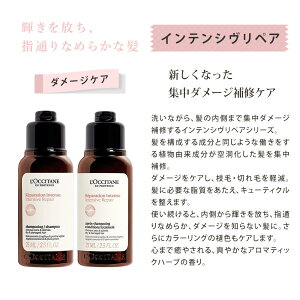 NV^ Vv[ RfBVi[  gCA MtgZbg CeVyA oVO sAtbV {[&XgOX ΂Mtg