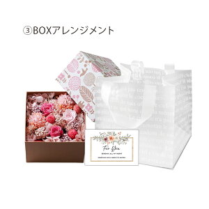 vU[ht[ Mtg t[ Mtg a v[g j w  i AE ސE yOriginalz