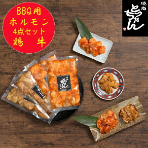 ēƂ hn} ēzZbg 300O 4_Zbg Y  { z BBQ ƒp Ⓚ ΂Mtg