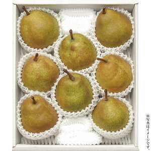 ݉̎R`YEtX2.5kgi13202021jႨ͂:11{`12{y͂wszyYnz