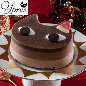 wNX}XsX'mastJ[htxy50zC[y̔LՂ@VRACXP[LiA-XECjy͂wszy[J[z