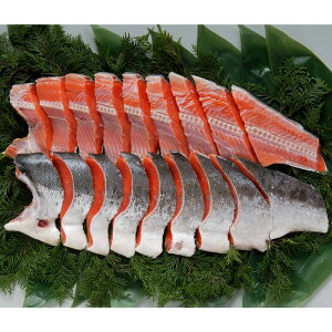 kC@GXPCt[Ygpؐg(Ȃ)(S-550113)yYnz