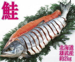 kCYYVRVp؂g(1.8-2.2)yYnz