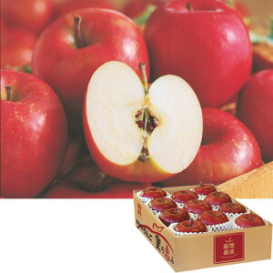 青森県産サンふじ林檎 蜜の恵み(11玉)(ASR-E0S)≪お届け期間:11月下旬〜12月下旬≫【お届け日指定不可】【産地直送】