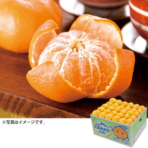 R哇݂iGji9`10kgjiOSM50jႨ͂:12{`12{y͂wszyYnz