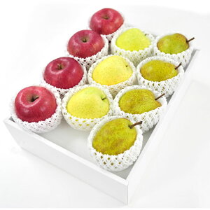 EtXETӂEуZbgiL4F4O3jႨ͂:11{`12{y͂wszyYnz