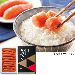 @˂ӂFhqq400gi102850jy[J[z