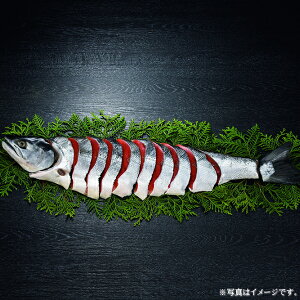 kC@^Jqnggpؐg1.0kg(S-550227)yYnz