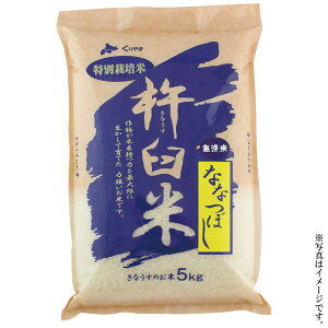 Ȃt@[kCIRYʍ͔|ĂȂȂڂ5kg(S-553425)yYnzᔭԁF11{`12{