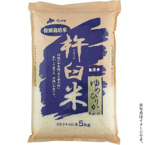 Ȃt@[kCIRYʍ͔|Ă߂҂肩5kg(S-553427)yYnzᔭԁF11{`12{