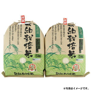 i_kC〈Y߂҂肩@10kg(S-553419)yYnzᔭԁF11{`12{