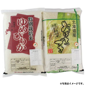 n_YkCyY@ʍ͔|2Zbg10kg(S-553423)yYnzᔭԁF11{`12{