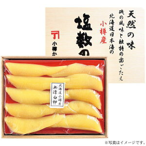 kC{CMOlY̎qiYEؔj@600g(KS-MK101)y[J[z