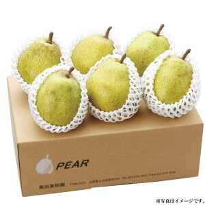 R` cʎI܍͔|EtX2kgi2T05-010jyYnzo׊:11/10`y͂wsz