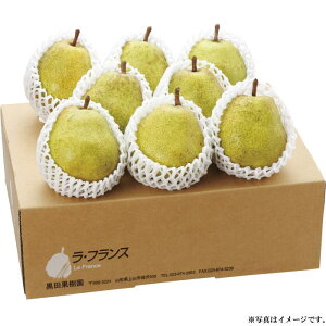 R` cʎI܍͔|EtX3kgi2T05-021jyYnzy͂wszo׊:11/10`