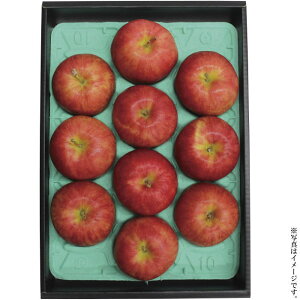 MBTӂ3kgiYO-570jyYnzy͂wszo׊:12{`