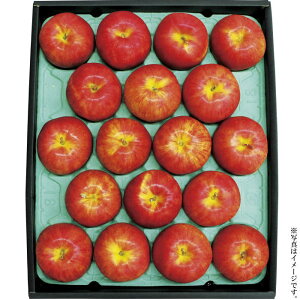 MBTӂ5kgiYO-724jyYnzy͂wszo׊:12{`