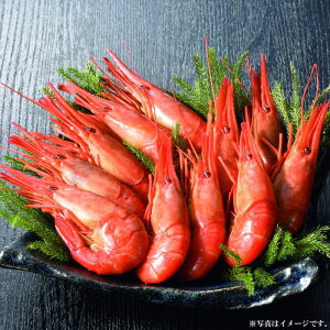 kC@ۍYݎYkC܂300g({C)(25-5027 11)yYnz