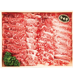 {苍Jrēp600gi2S18-117jyYnz