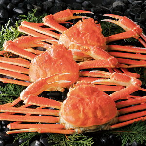 Ji_Y킢ɒ2iS-550619jyYnz