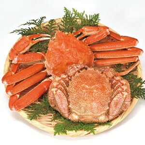 kC@JlTYтɁE킢ɃZbgiS-550621jyYnz