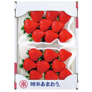 ܂iAMO-2jႨ͂:12{`12{y͂wszyYnz