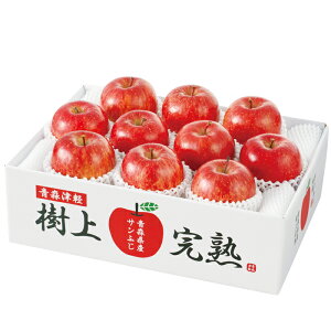 XY ㊮nTӂ񂲁iH-A4SjyYnzo׊:11/21`12/15y͂wsz