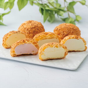 Dv~AV[ACX9iPGS-506jy[J[z