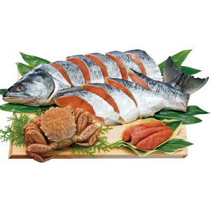 kCCNIsEтɁEhqq̋liW-100jy[J[z