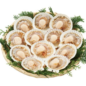 kCYقĕЊL12iL12jy[J[z