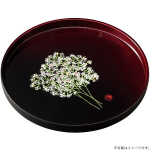 yIׂ閇i1`10jz10.0ۖ~ia30cm)h蕪ʒ@ݑAi27-8-6jy݉iz