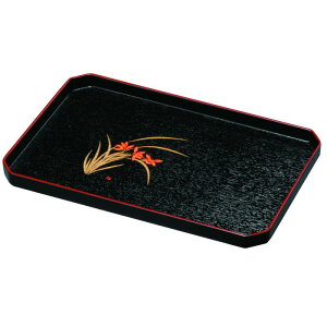 yIׂ閇i1`10jz10.0g[iW30cm)\g[@@񃆃Ai27-21-1jy݉iz