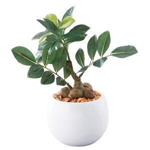 SC(セルフクリーン)触媒加工ミニ観葉 ガジュマル(フェイクグリーン)(HSP-LE-23)【送料込み価格】