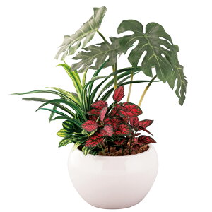 SCiZtN[jG}HgsJ񂹐A|bgXeitFCNO[jiFG1000jy݉iz