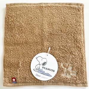 ����@�X�k�[�s�[�^�I���n���J�`����킽���u���E����watairo�i��25×25cm�j�iXT44856600-330�^PN4660TW�j�y�����^�I���z�i�F��ԍ��F��2024-909���j�y���[���֔����@�������݉��i�z