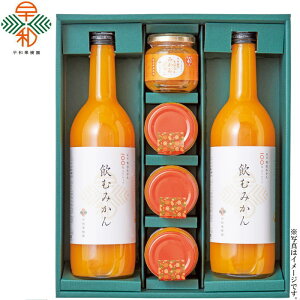 【選べる箱数(1〜3箱)】早和果樹園果樹園まるごとみかんギフトB(W3-B89)【送料込み価格】