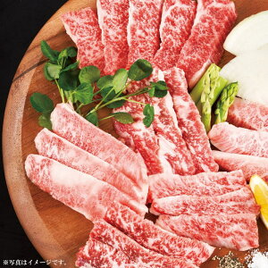 {苍Jrēp300gi019-C076jy[J[z