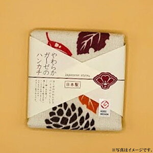 yʌFoׁz炩K[[̃nJ`܂ڂ聄y{zijy[֔@݉iz