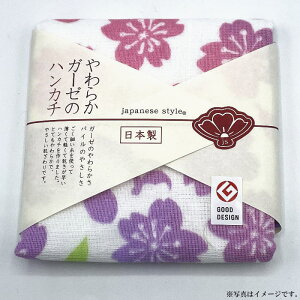 yoׁz炩K[[̃nJ`ڂy{zij(JS-4099)y[֔@݉iz